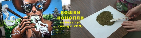 ECSTASY Дмитриев