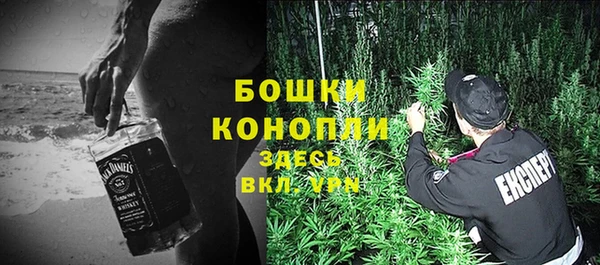 Альфа ПВП Няндома
