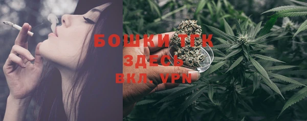 индика Новодвинск