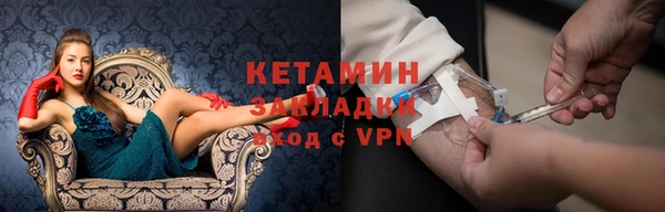 индика Новодвинск