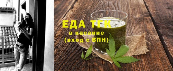 индика Новодвинск