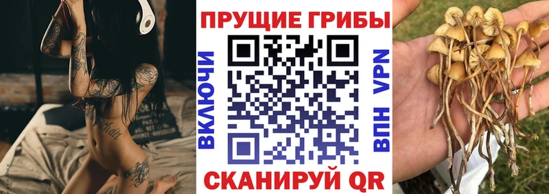 Псилоцибиновые грибы GOLDEN TEACHER  блэк спрут маркетплейс  Онега 
