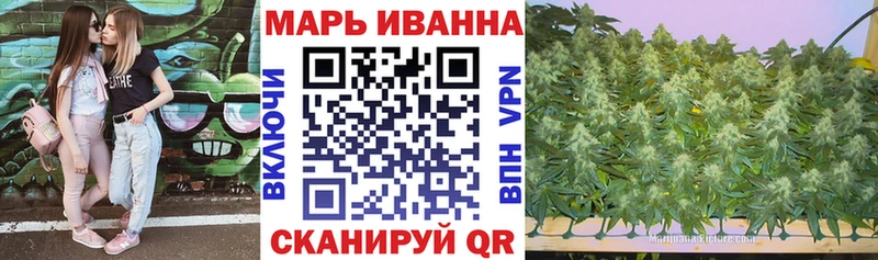наркотики ссылка на мегу зеркало Канабис конопля Онега